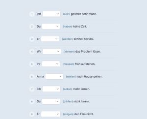 Zrzut ekranu ćwiczeń gramatycznych